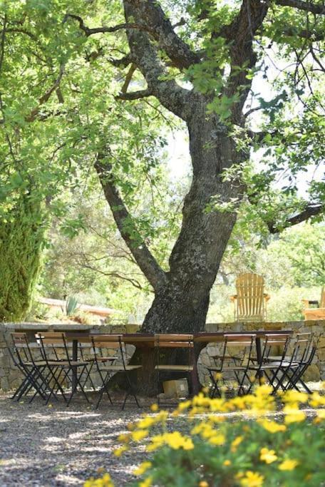 Domaine De Matourne * Flayosc